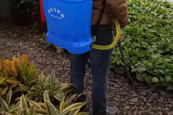 氮肥可以兑水浇菜吗