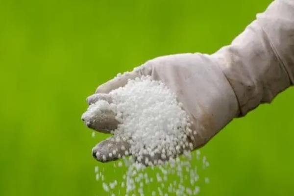 氮肥、磷肥、钾肥的作用是什么