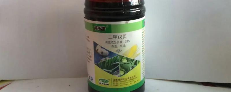 二甲戊灵几天后可以播种