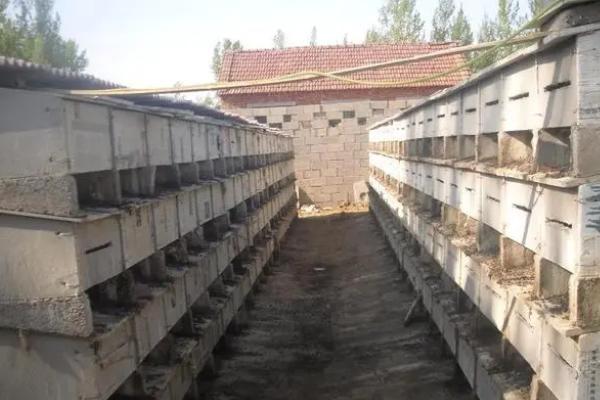 怎么建造最实用的兔舍
