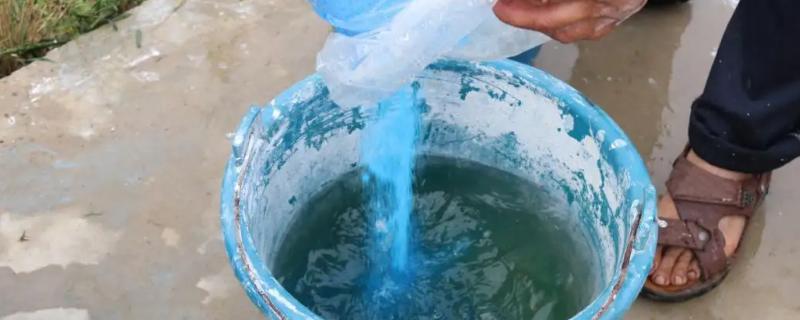 波尔多液能治什么病