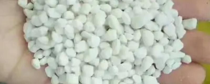 氮肥养花的作用及使用方法