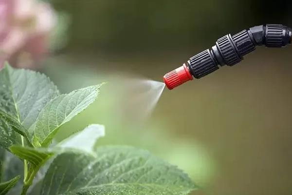 尿素和磷酸二氢钾能在一起作为叶面肥用吗