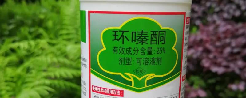环嗪酮杀树怎么使用