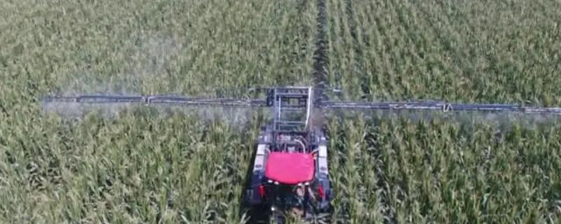 露娜森的使用方法与禁忌