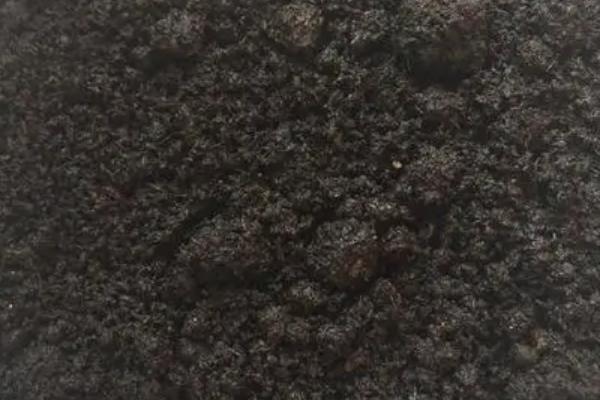 鸡粪直接埋土里多久可以种菜