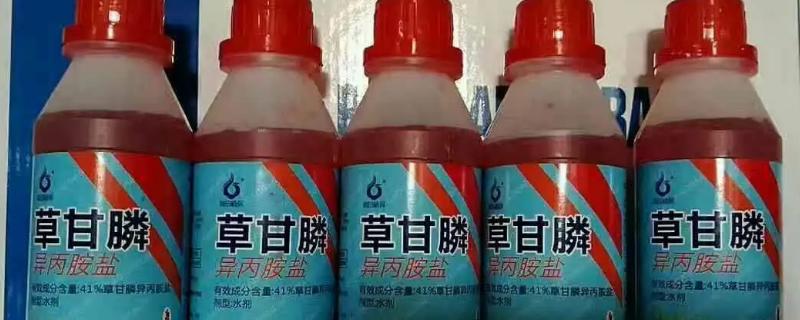 打草甘膦早上打还是下午打