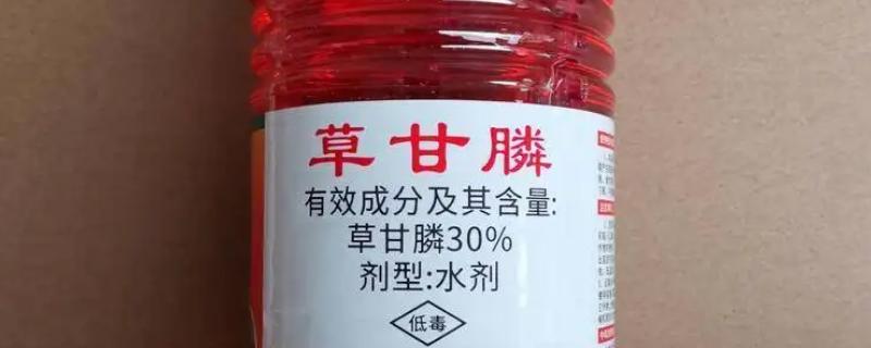 打过草甘膦几天可以栽苗