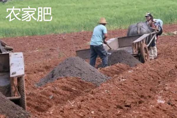 农家肥和化肥有什么区别