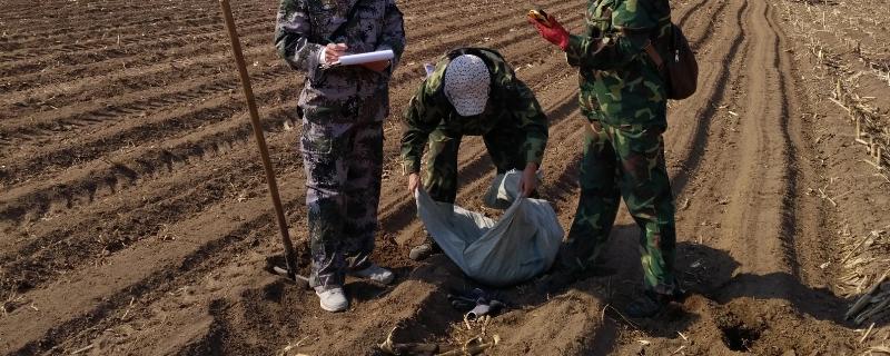 农业生产中测土配方施肥对化肥使用量有何影响