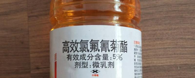 高效氯氟氰菊酯对蜗牛有效吗