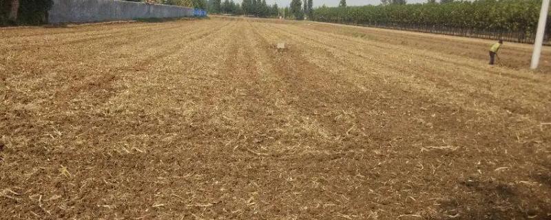 耕地可以挖鱼塘吗