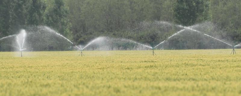 农业用水量主要用于什么林业牧业渔业相关辅助性活动