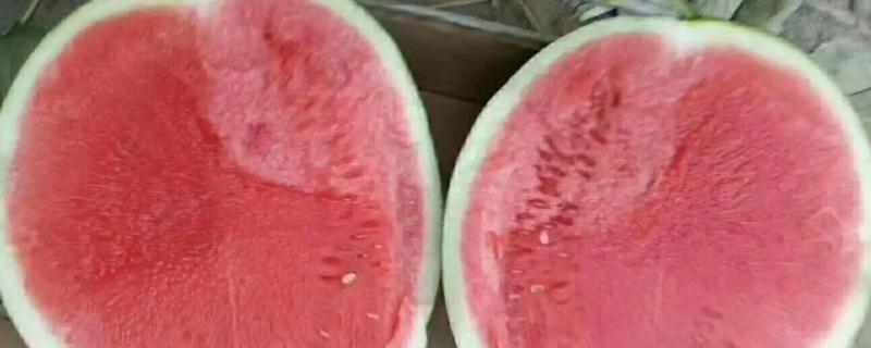 三倍体无籽西瓜是可遗传变异吗