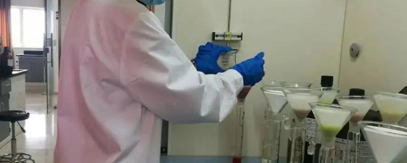 发芽的小麦种子匀浆样液成分