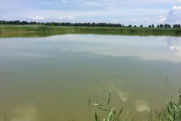 em菌的是肥水还是瘦水