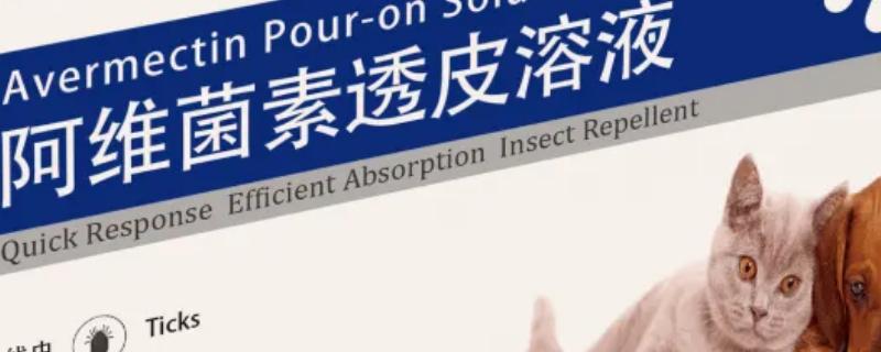 阿维菌素透皮溶液多久见效