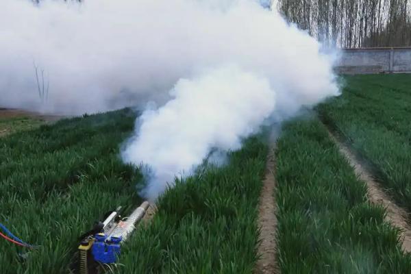 阿维菌素安全期多少天
