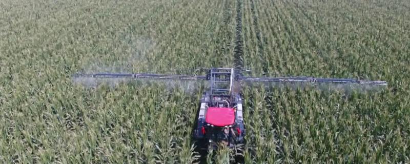 玉米除草剂几小时下雨不影响药效