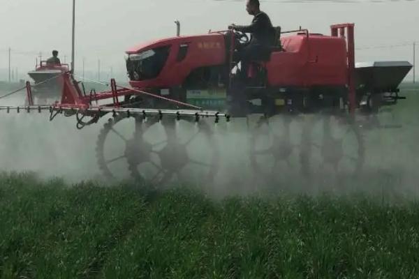 玉米除草剂几小时下雨不影响药效