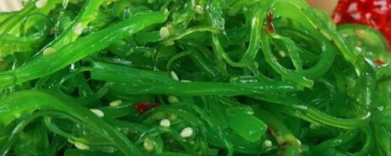 裙带菜是海鲜吗