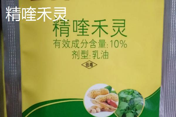 烯草酮与精喹禾灵区别