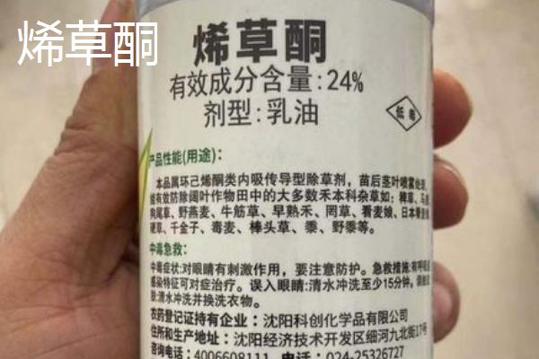 烯草酮与精喹禾灵区别