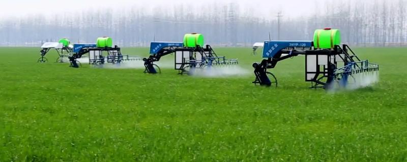 高氯甲维盐治哪些害虫