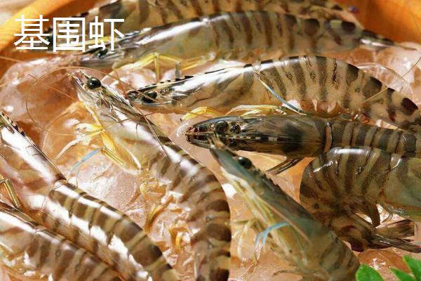 河虾和基围虾的区别