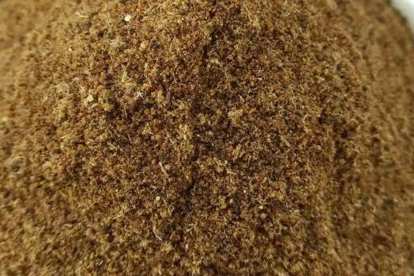 青鱼喜欢吃什么味型的饵料