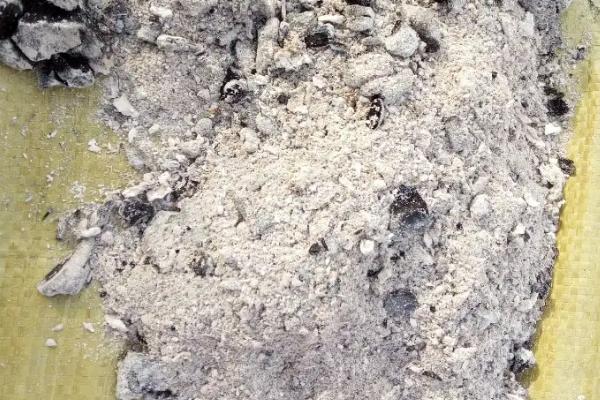 不用农药20种杀虫方法
