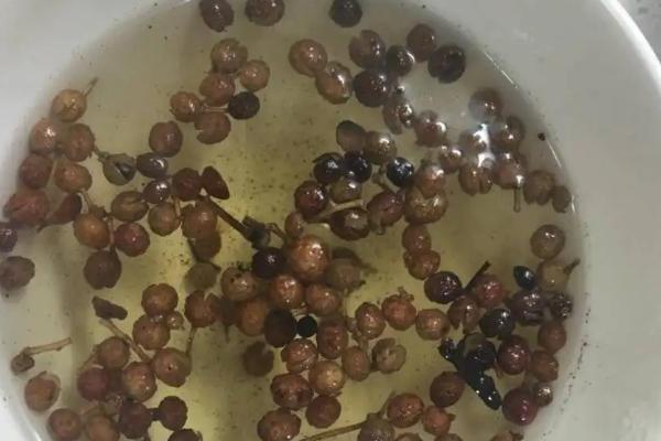 不用农药20种杀虫方法