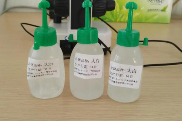 猪精保存温度与存活时间