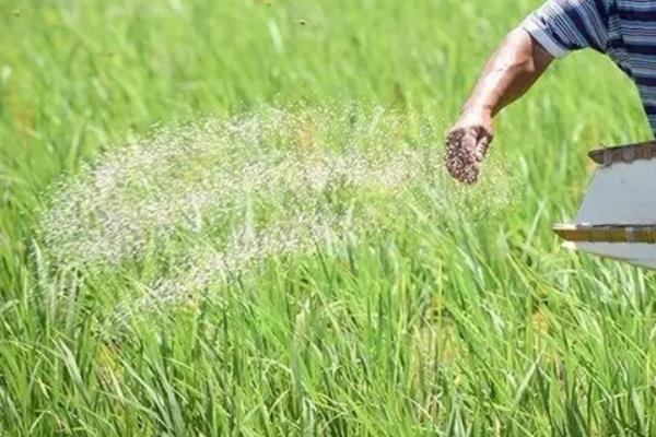 氯化钾肥料能用在什么植物上