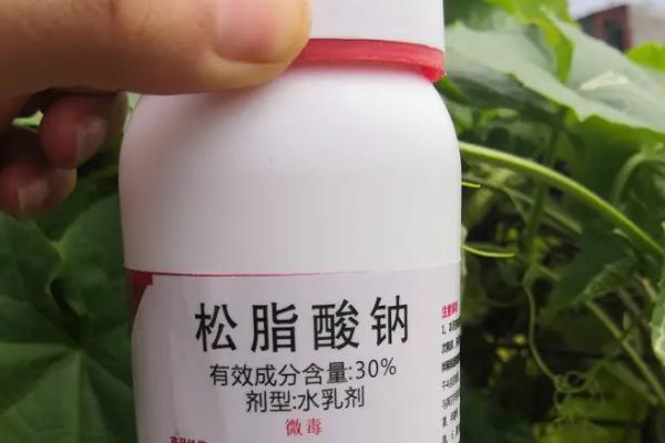 松脂酸钠作用功效