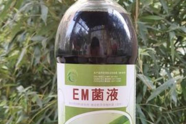 简易的饲料青贮方法