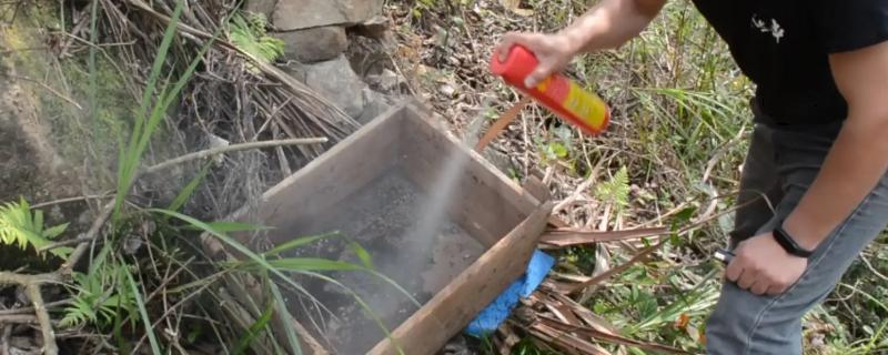 诱蜂水的配方与制作方法