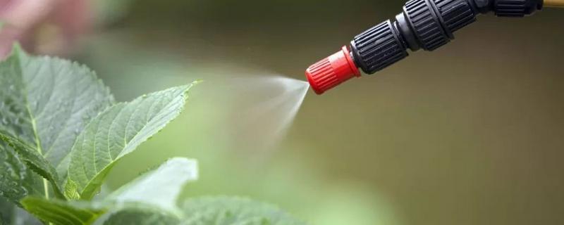 吗胍乙酸铜配药禁忌