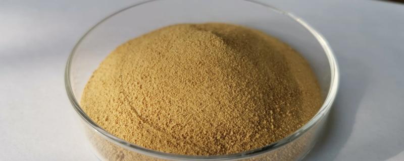 鱼蛋白肥料制作方法