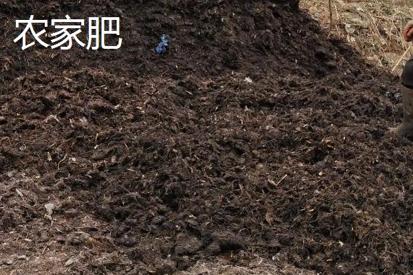 让韭菜长得好的肥料有哪些