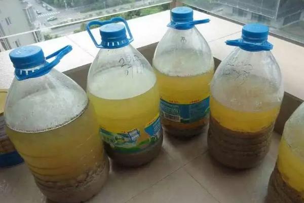 菜籽饼如何发酵