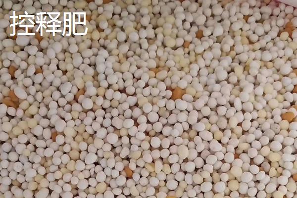 控释肥和控失肥有什么区别