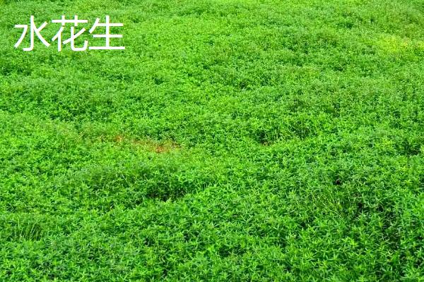 简易的青储方式