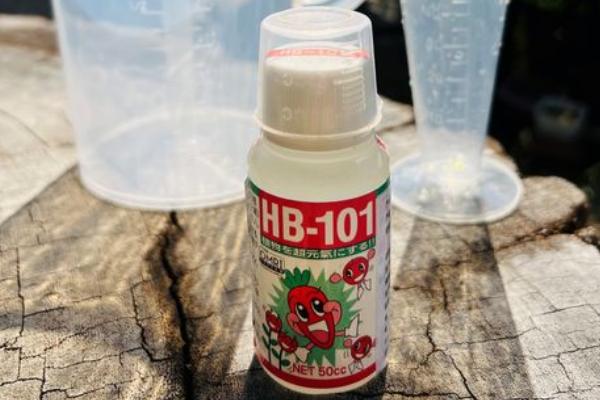 hb-101活力素怎么使用