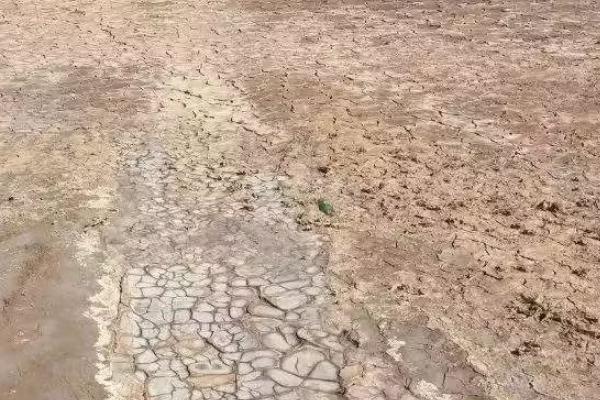 化肥对土壤有什么影响
