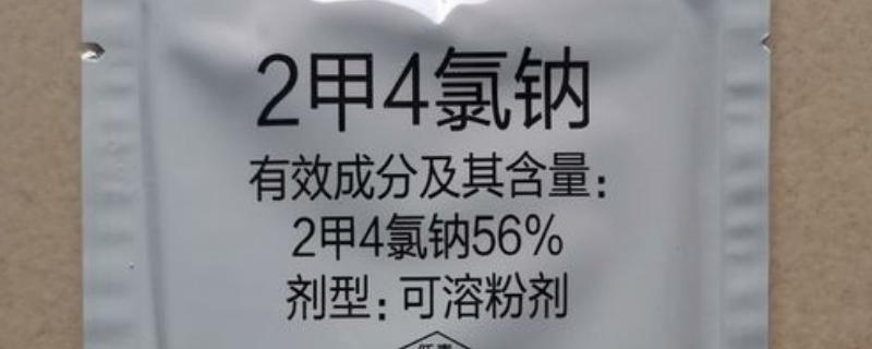 2甲4氯钠打后几天能种玉米