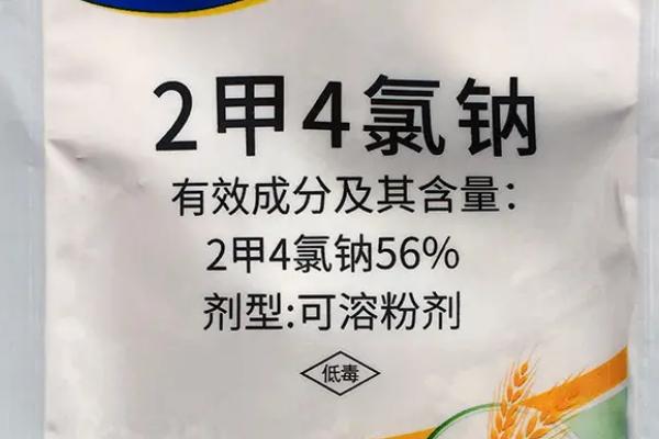 喷施2甲4氯钠过多久才能种玉米