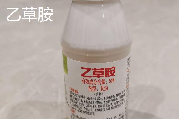 芝麻地除草用什么药