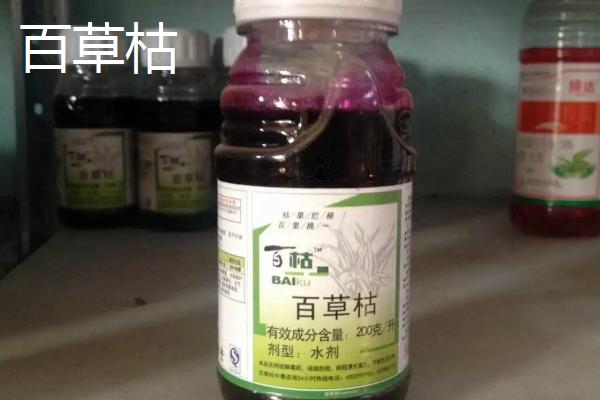 芝麻地除草用什么药