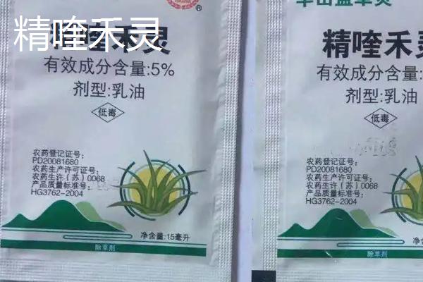 芝麻地除草用什么药